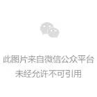 【錢江晚報】陳愛蓮代表：建議在内蒙古自治區設立知識産權法院