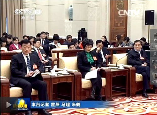 【關注全國兩會】陳愛蓮代表參加香港代表團審議會議并發言
