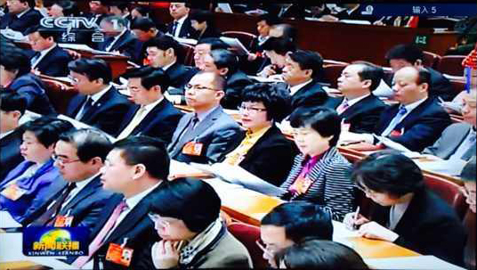 【關注全國兩會】陳愛蓮代表參加全國人大會議第三次全體會議 聽取和審議“兩高”工作